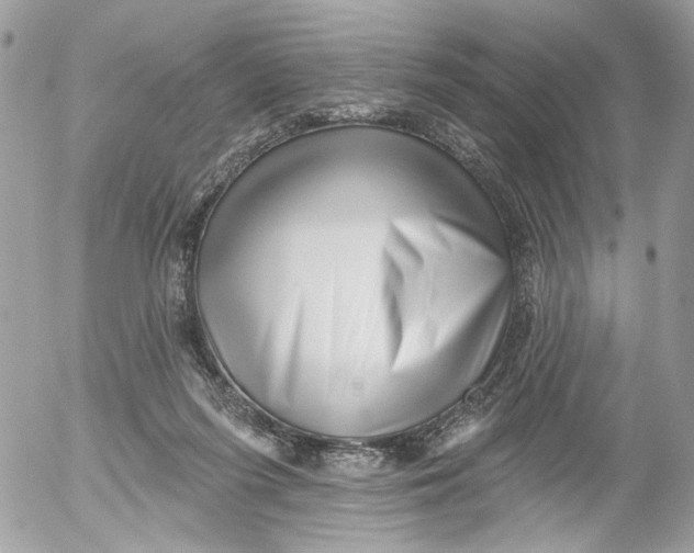 X0000052540215200507221434