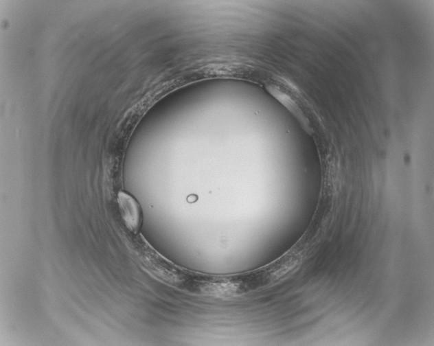 X0000052540217200507221434