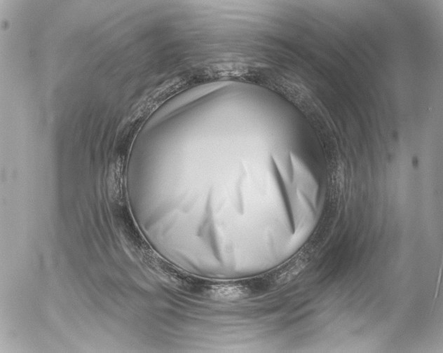 X0000052540218200507221434