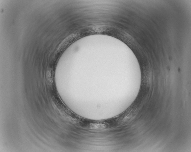 X0000052540220200507221434