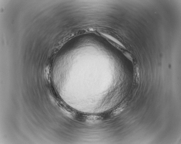 X0000052540222200507221434