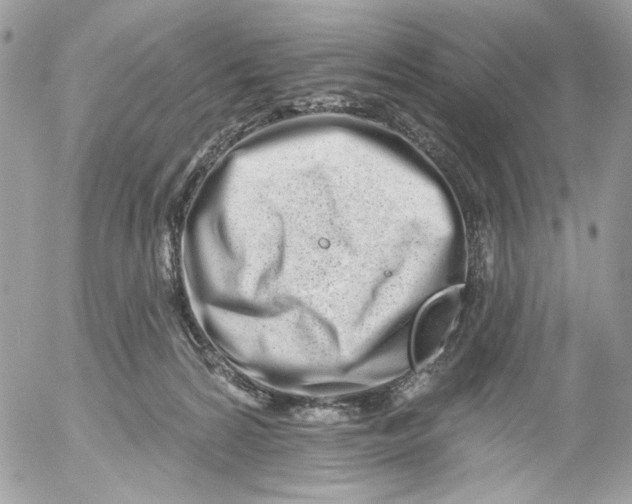 X0000052540224200507221434