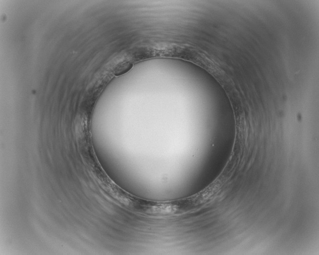 X0000052540225200507221434