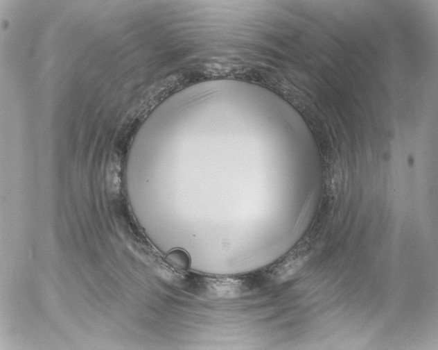 X0000052540226200507221434