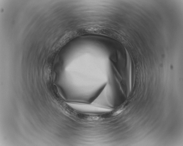 X0000052540227200507221434