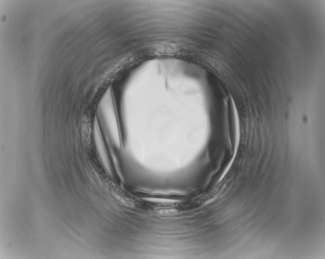 X0000052540228200507221434