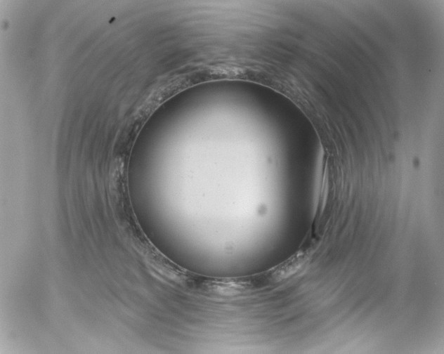 X0000052540229200507221434