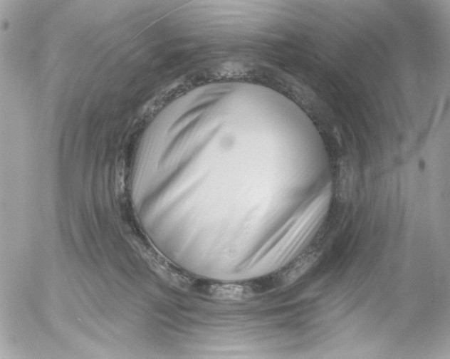 X0000052540230200507221434