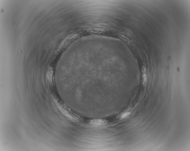 X0000052540231200507221434