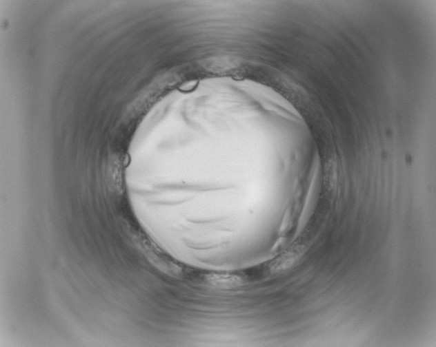 X0000052540234200507221433