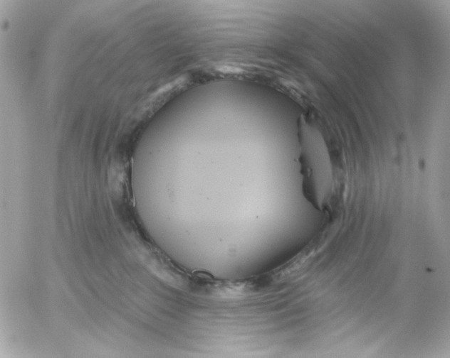 X0000052540235200507221433