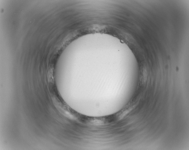 X0000052540236200507221433