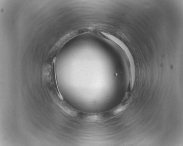 X0000052540237200507221433