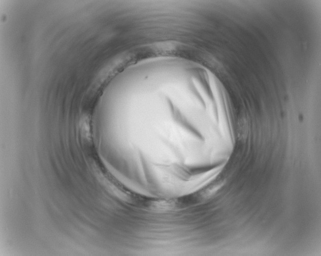 X0000052540238200507221433