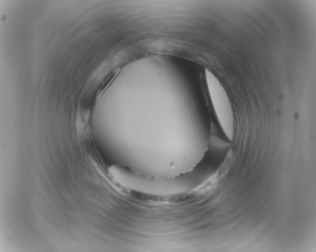 X0000052540239200507221433