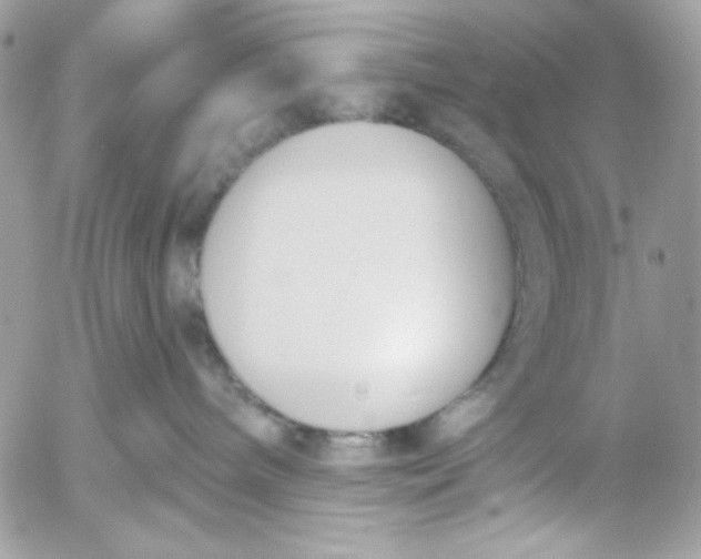 X0000052540240200507221433