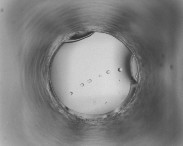 X0000052540241200507221433