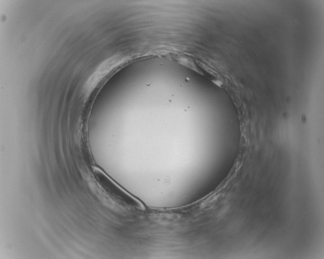 X0000052540242200507221433