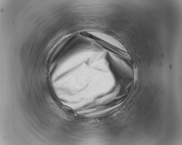 X0000052540243200507221433