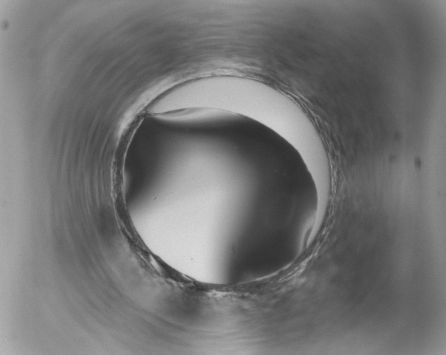 X0000052540244200507221433