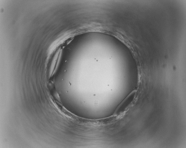 X0000052540245200507221433