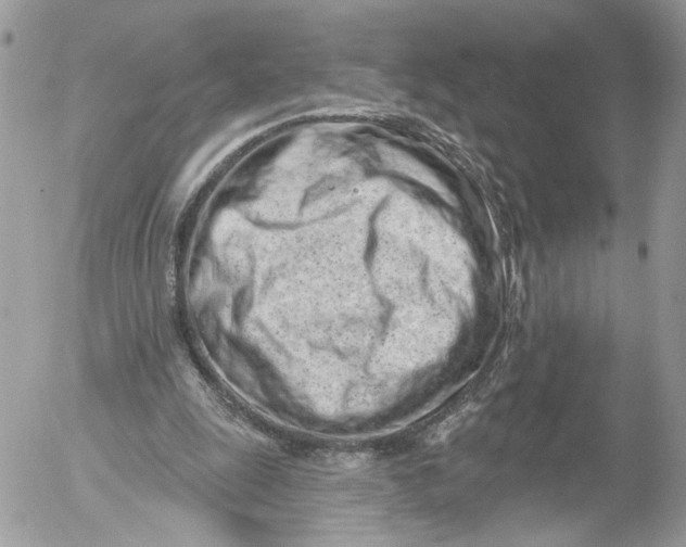 X0000052540247200507221433