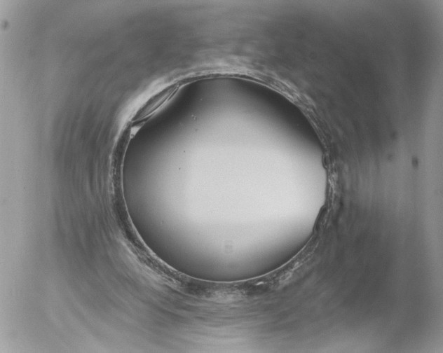 X0000052540248200507221433