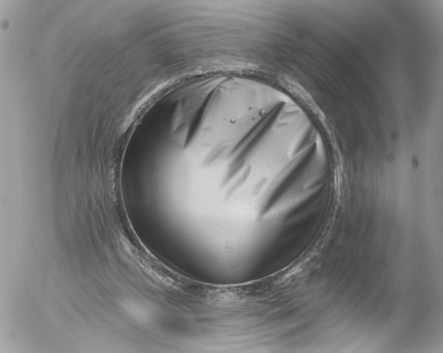 X0000052540249200507221433