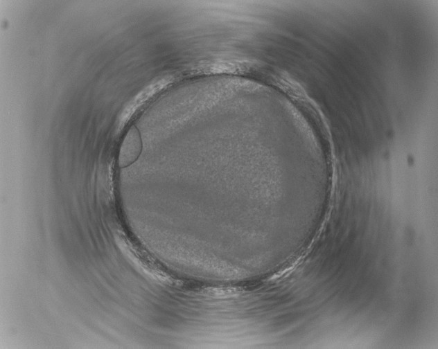 X0000052540250200507221433