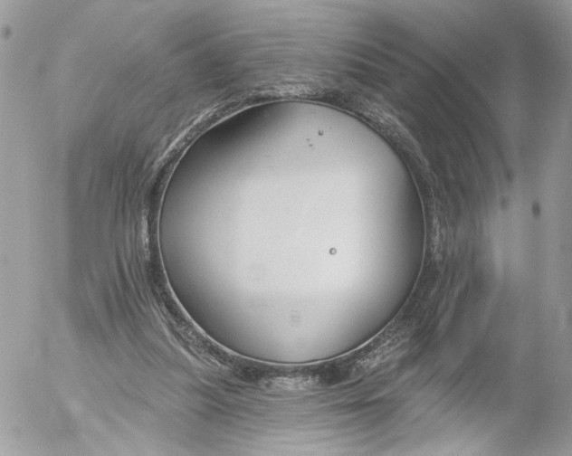 X0000052540251200507221433