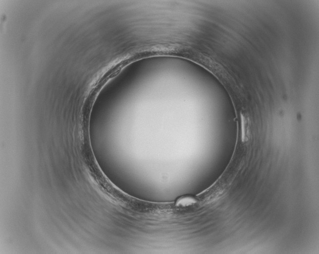 X0000052540252200507221433