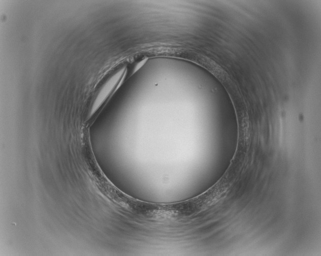 X0000052540255200507221433