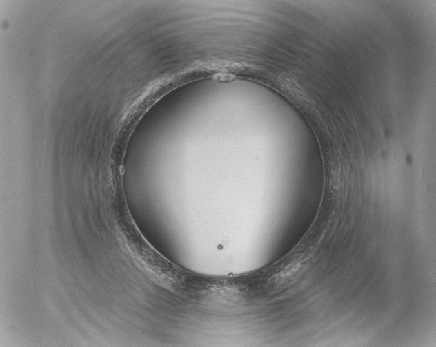 X0000052540256200507221433