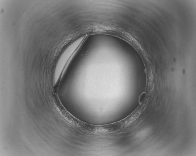 X0000052540257200507221433