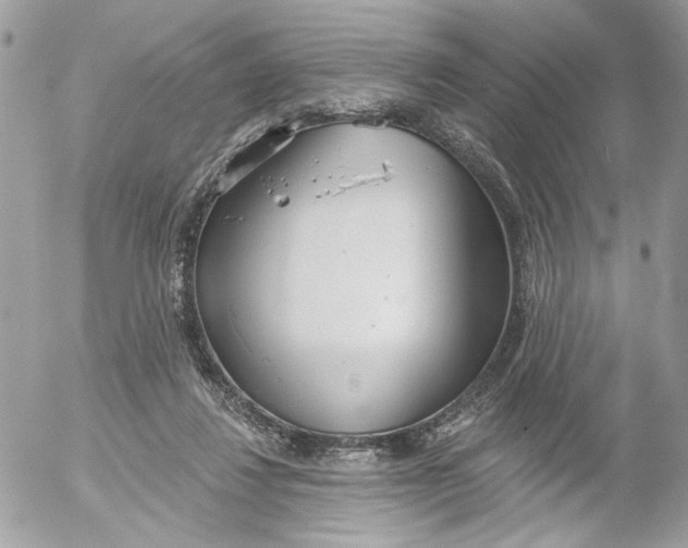 X0000052540260200507221433