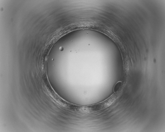 X0000052540261200507221433