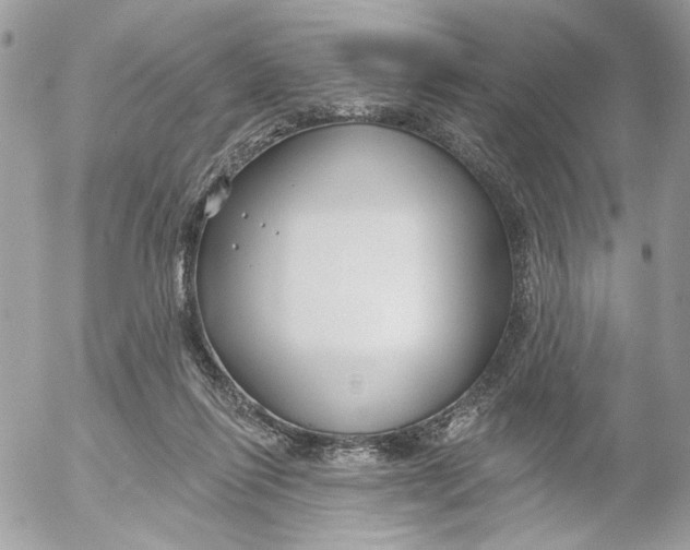 X0000052540262200507221433