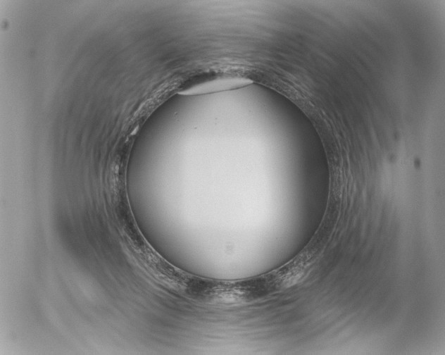 X0000052540263200507221433