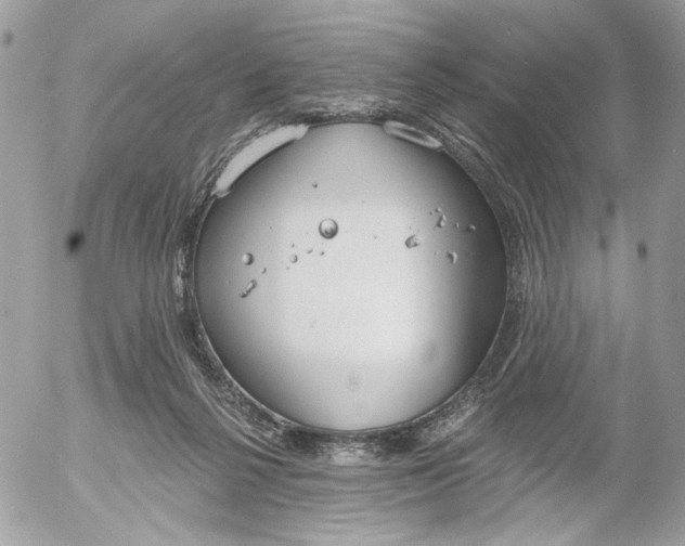 X0000052540264200507221433