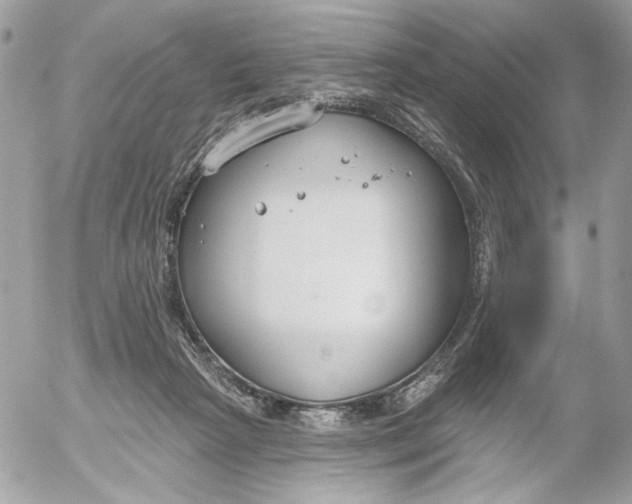 X0000052540265200507221433