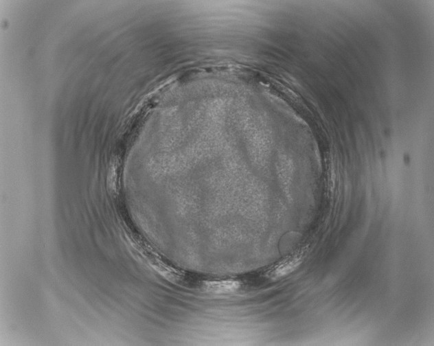 X0000052540266200507221433