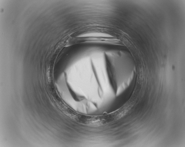 X0000052540267200507221433