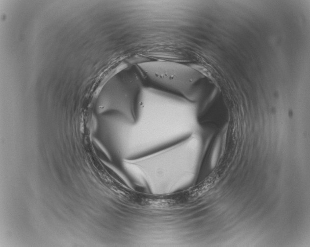 X0000052540268200507221433