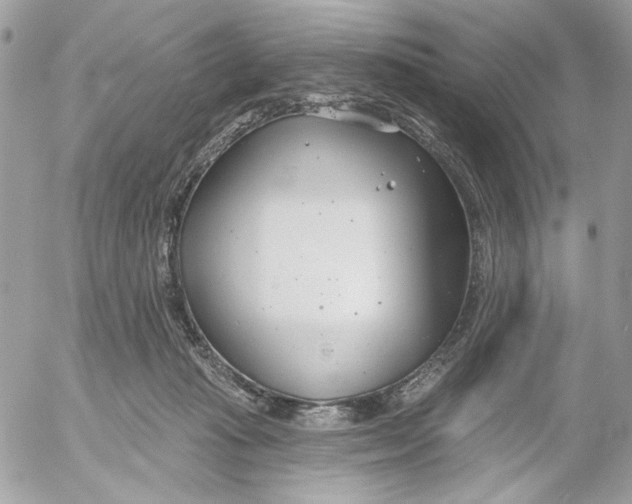 X0000052540269200507221433