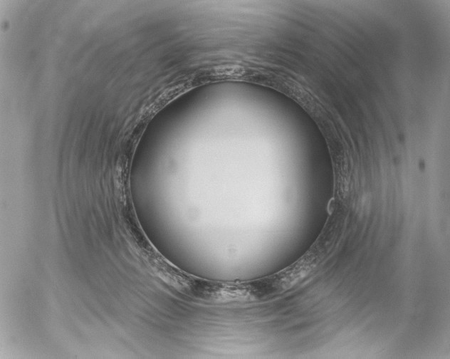 X0000052540270200507221433