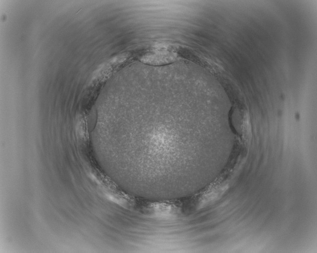 X0000052540272200507221433