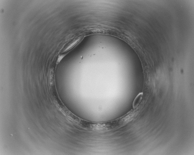 X0000052540273200507221433