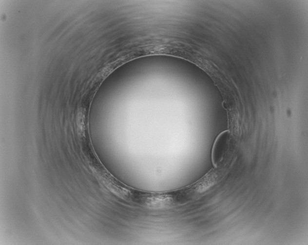 X0000052540274200507221433