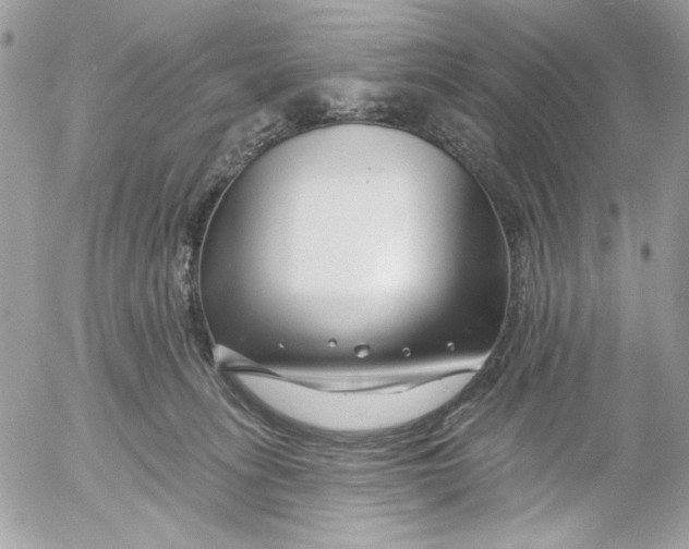 X0000052540275200507221433