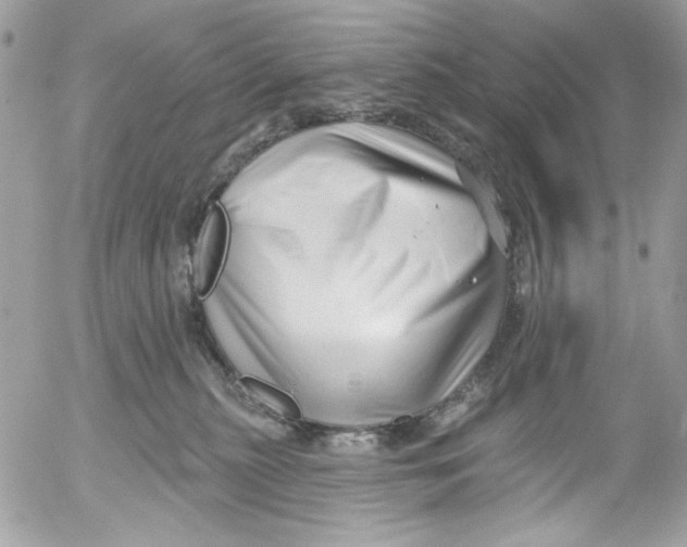 X0000052540279200507221433